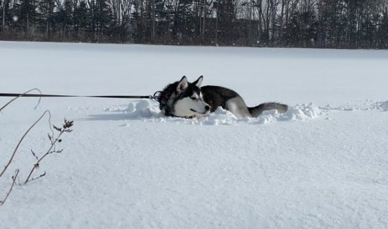 雪風呂