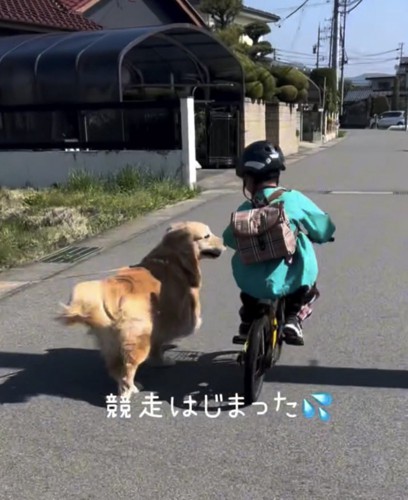男の子と並ぶ犬