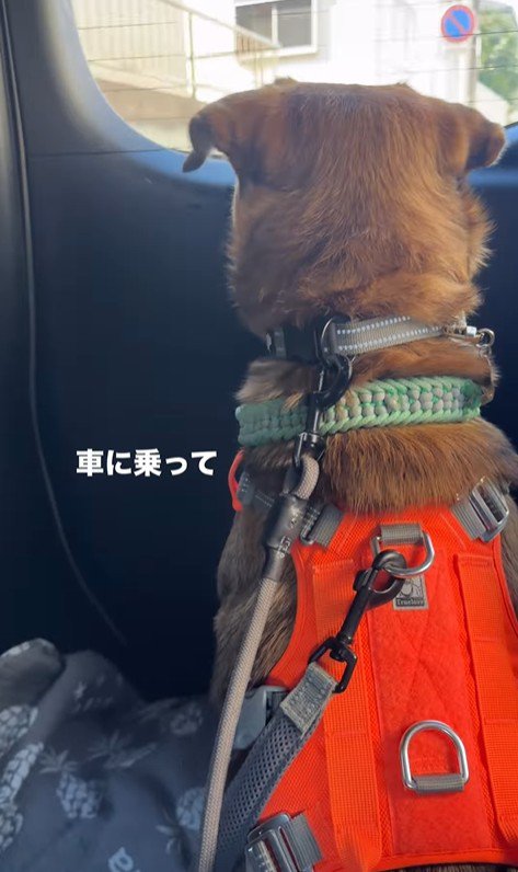 現在のちぃ君