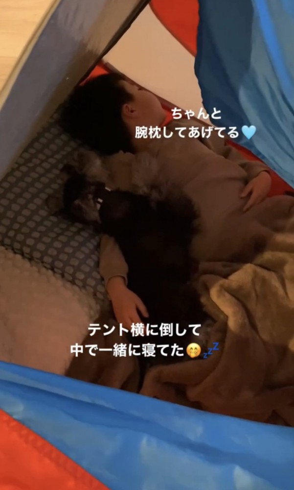 腕枕で寝る犬と子供