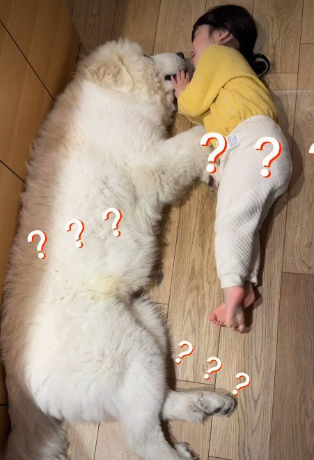 とと丸ちゃんだけ巨大化!!