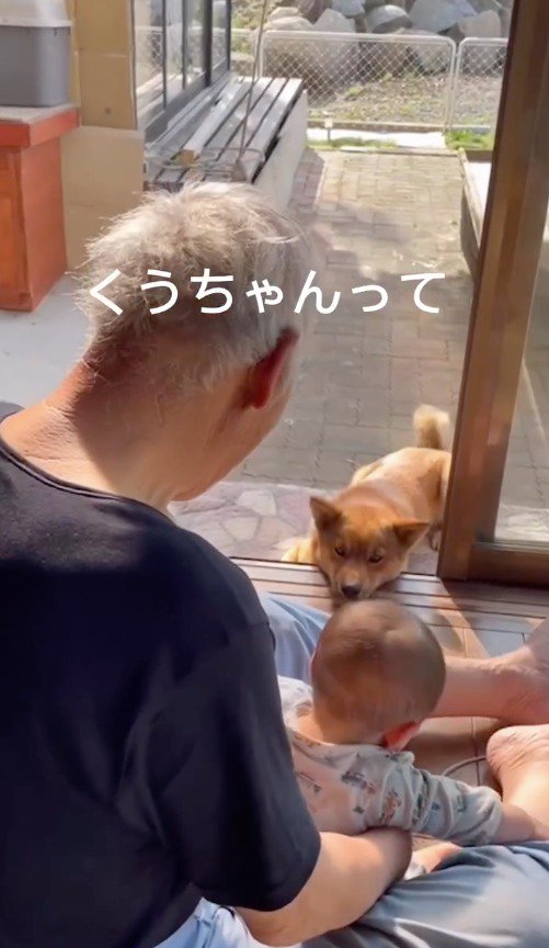 縁側でくつろぐ犬と男性と赤ちゃん