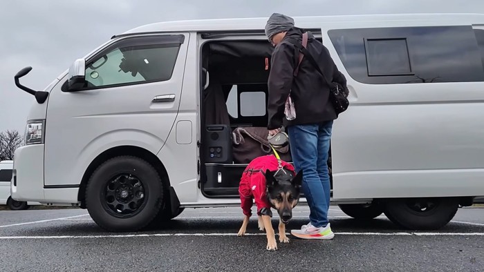 車から降りる犬と男性