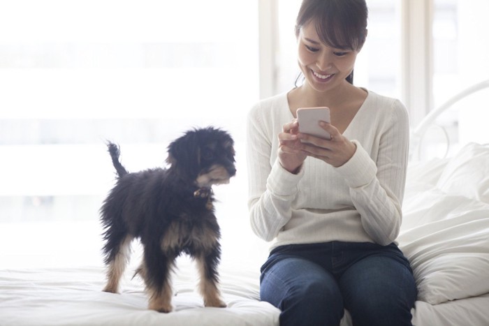 スマホを触る女性と犬