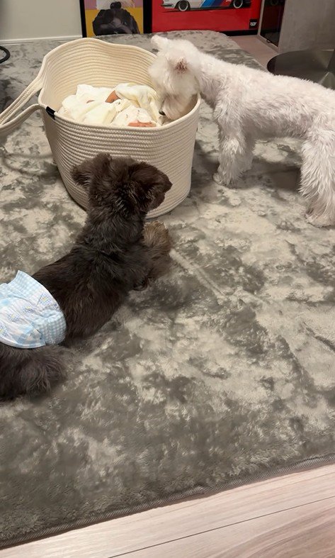 赤ちゃんを見守っています