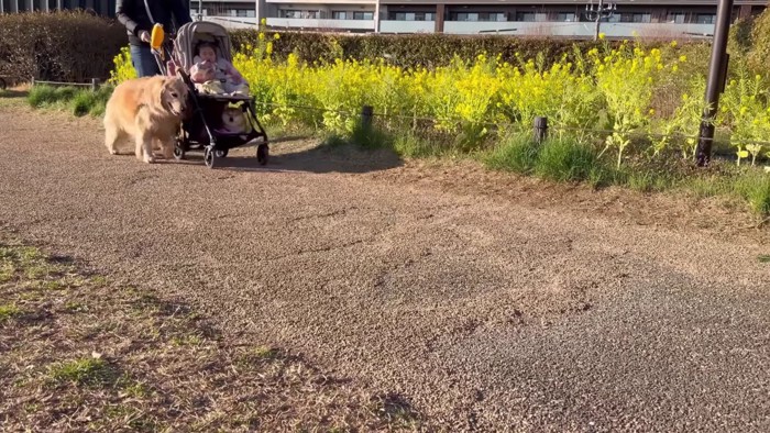 みんなでお散歩に♪