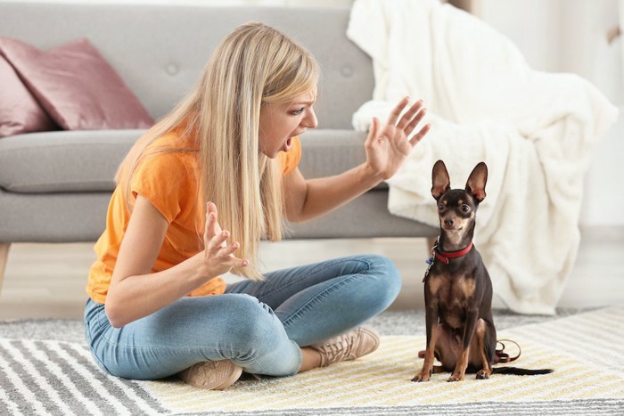 隣に座って犬を叱っている女性