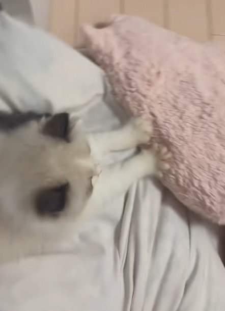 フミフミを始めた♡
