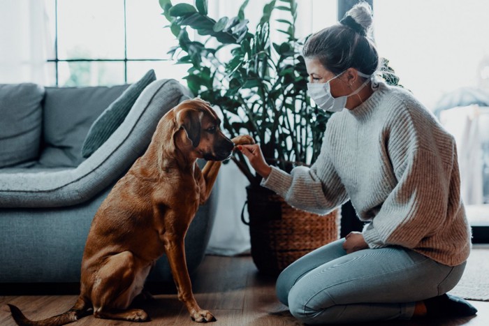 マスクを着けた女性と犬