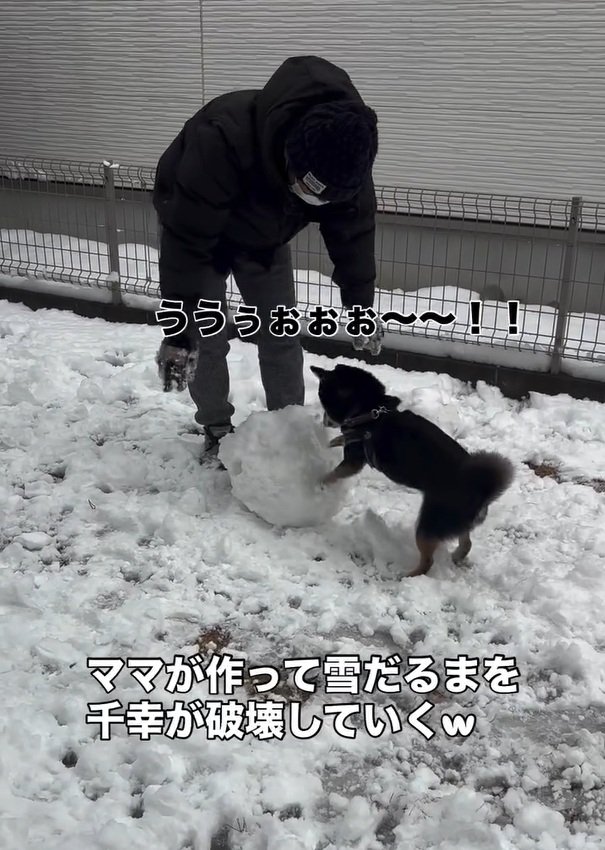 雪だるまを壊していく千幸ちゃん
