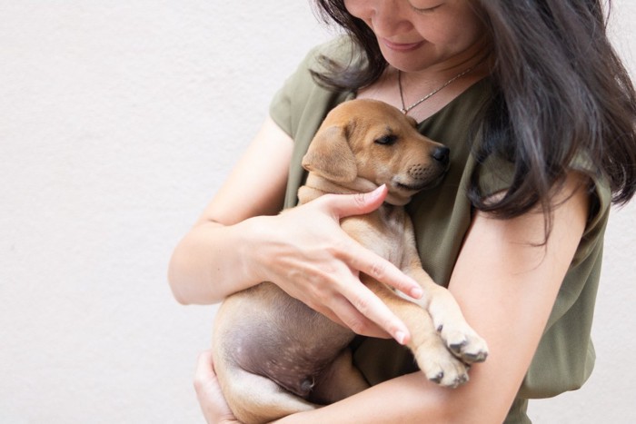 子犬を抱き寄せる女性