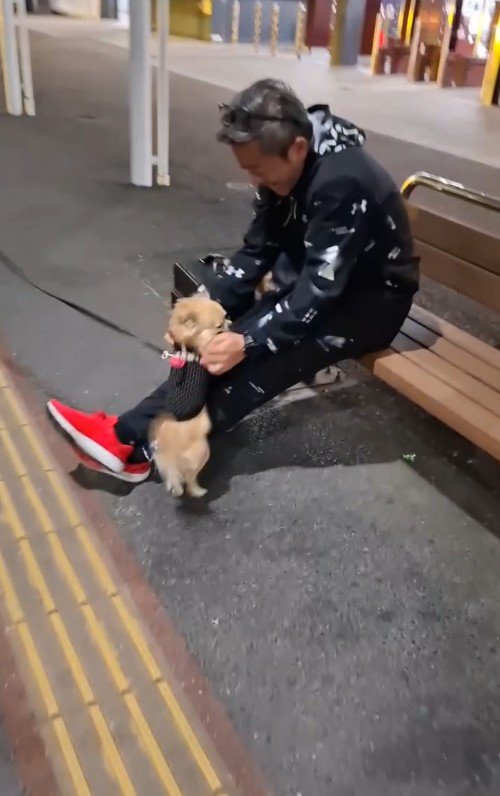 CoCoちゃんとパパさんの再会5