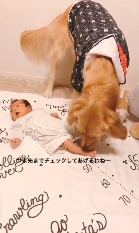 くららちゃんと赤ちゃん6