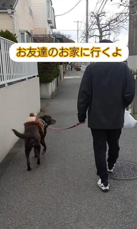 お友達の家に行くあんちゃん2