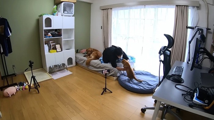 体調不良時のよもぎちゃん＆だいず君の対応4