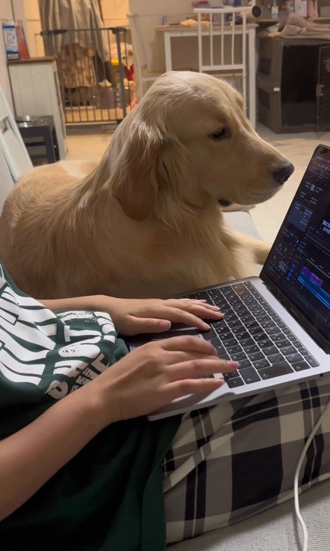 お仕事中の飼い主さんに甘える麹くん