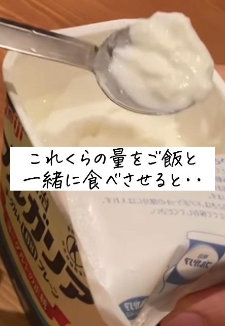 ヨーグルトを与えてみたら…