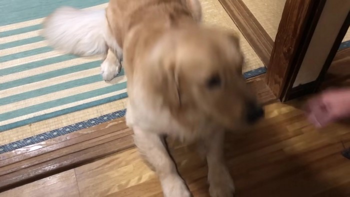 ふせも完璧な仕上がり