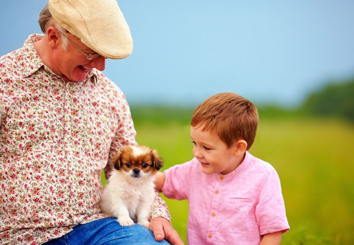 おじいちゃんと孫と子犬