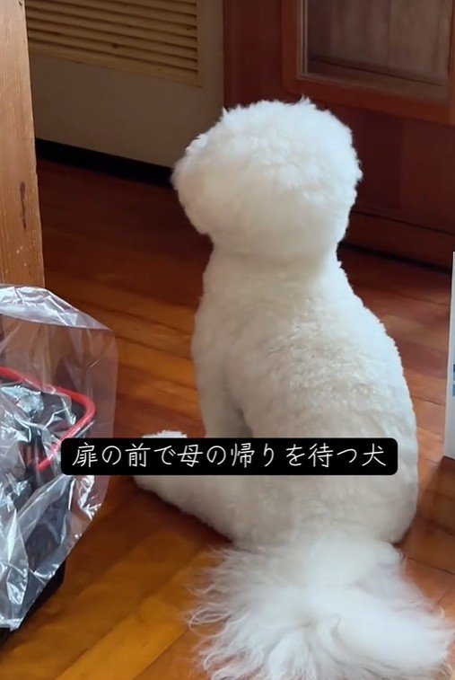 RAUくんの熱烈大歓迎