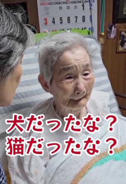 「猫だったかな？犬だったかな？」