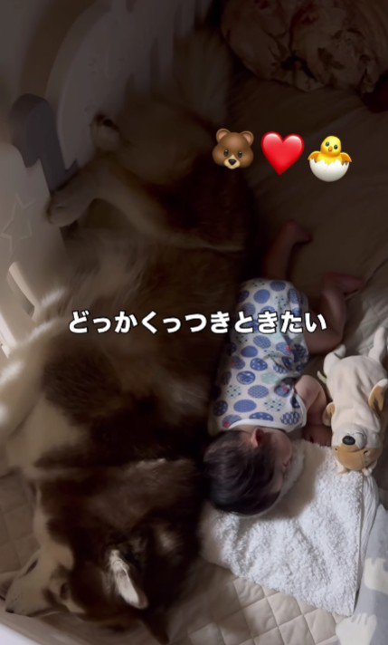 どこかくっつきたい♡