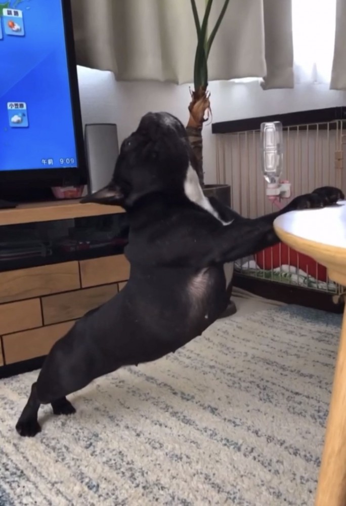 ストレッチ7