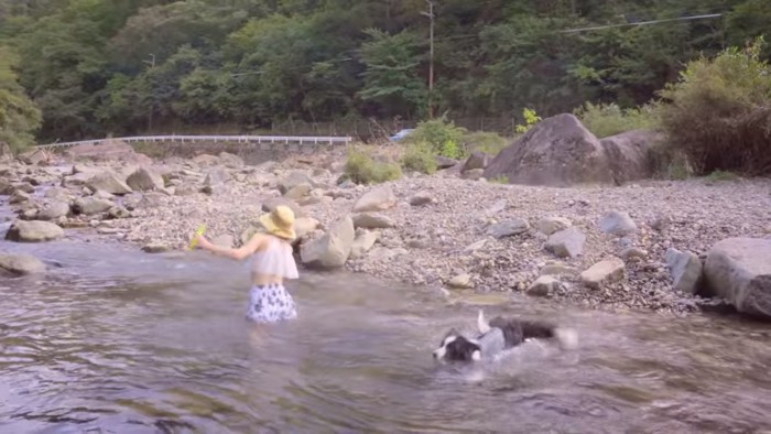 よろめくママさんの元へ泳ぐまろくん