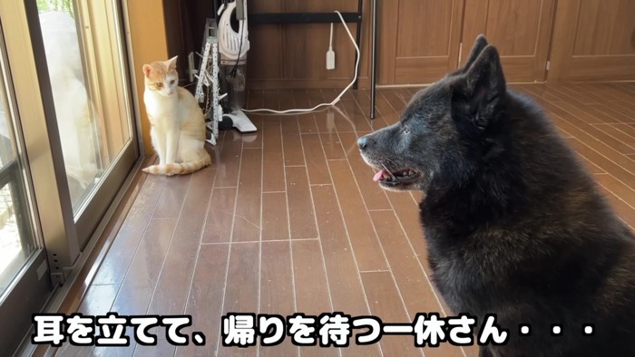 まだ帰らないかな？