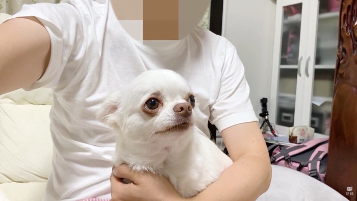 悲しそうな表情…