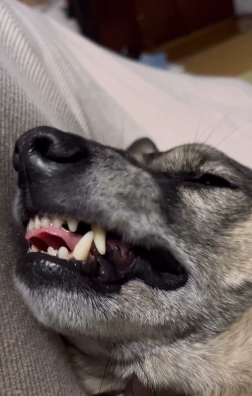 すごいお顔に！（笑）