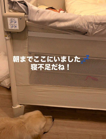 朝まで子守りをしたよ