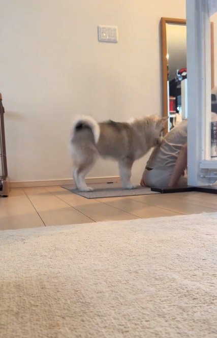 しゃがむママ