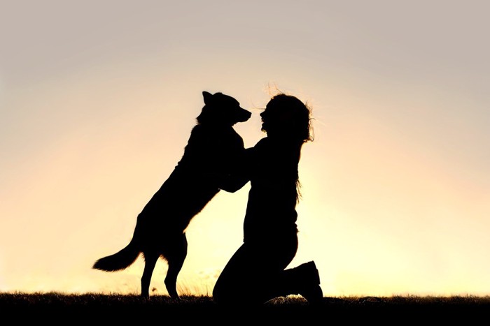 女性に飛びつく犬の影