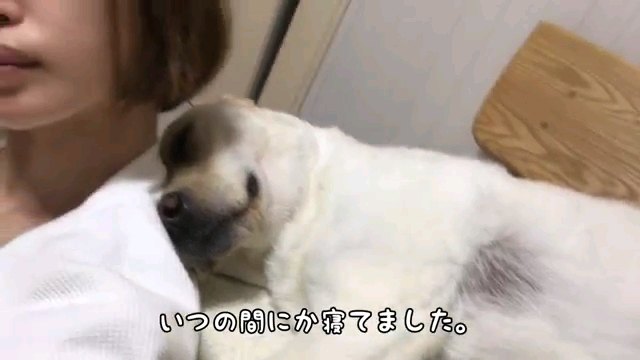 いつの間にか～字幕