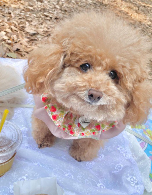 どちらのカットも素敵♪