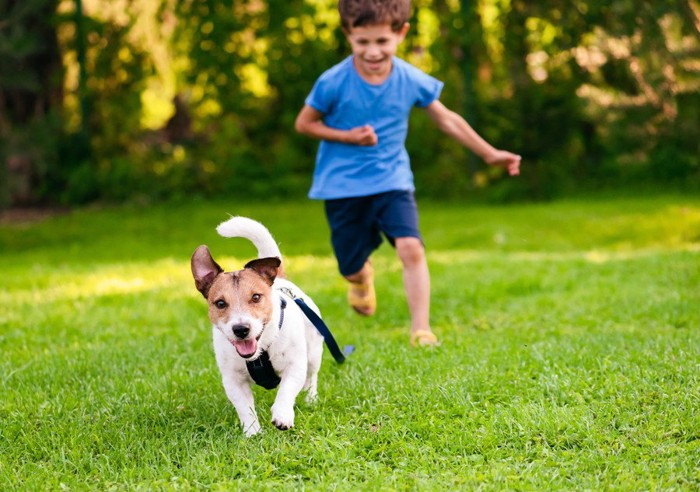 逃げる犬と子供