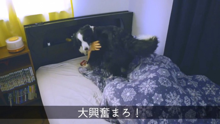 「起きて~!」と大暴れ