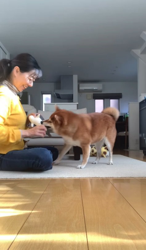 野々花ちゃんの勝利です♪