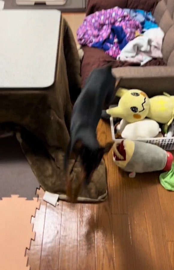 急に動き出すナツくん