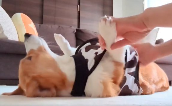 されるがまま