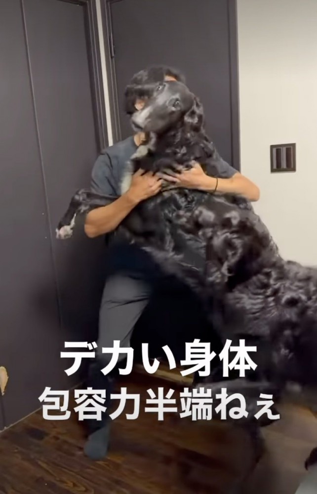 ボルゾイを受け止めるパパ