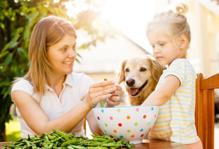 スナップえんどうを剝く親子と犬