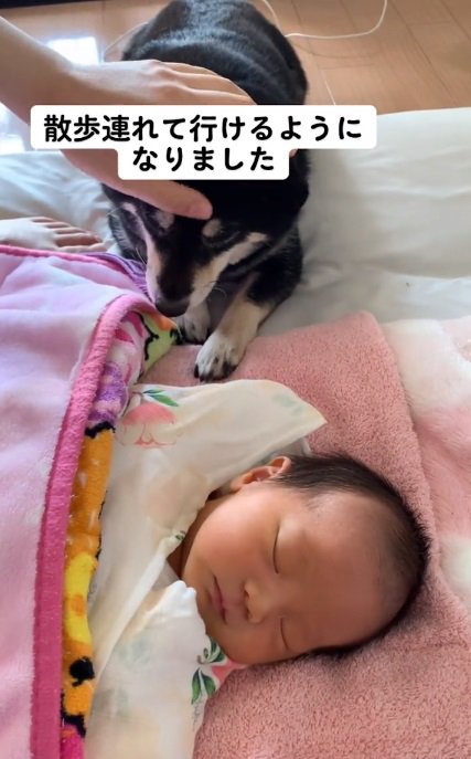 ミヤビちゃんを撫でるママ