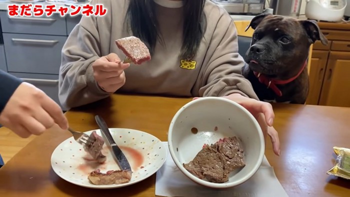 肉を持つ女性と犬