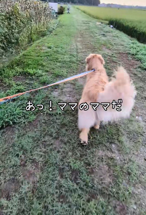 畑に向かいます