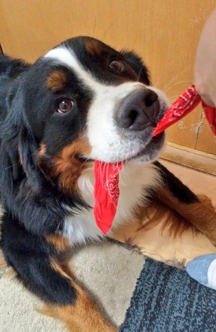 いつもほがらか♡