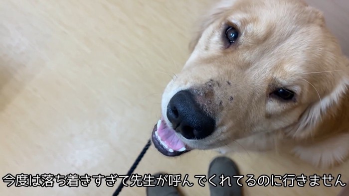 呼んでも動かなくなりました