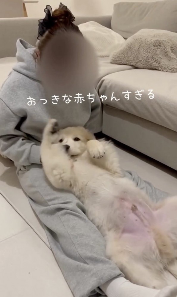 信頼感のみ
