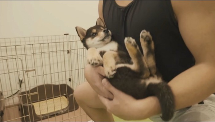 スクワットをする飼い主に抱かれる犬